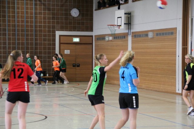 2017_02_19 Landesliga Frauen und Jugend 19
